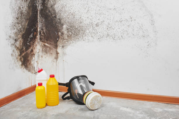 Best Crawl Space Mold Removal  in Morrisville, PA