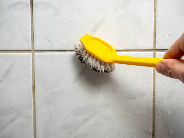 Best Local Mold Removal Service  in Morrisville, PA