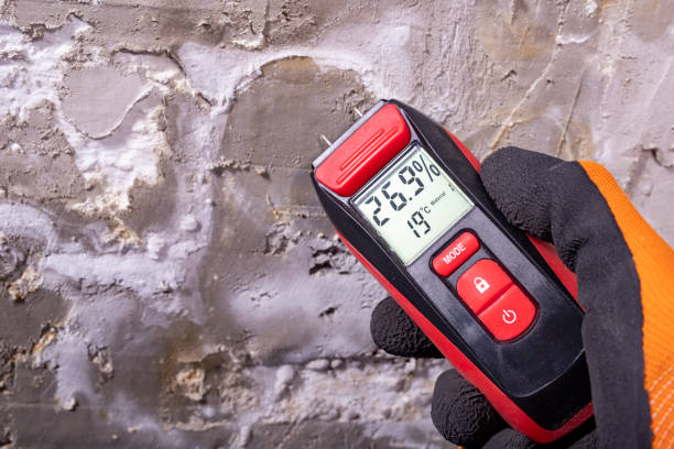 Best Fast Mold Removal  in Morrisville, PA