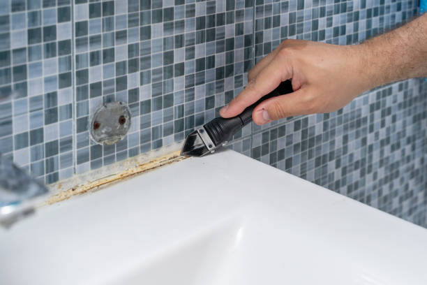 Morrisville, PA Mold Removal Company