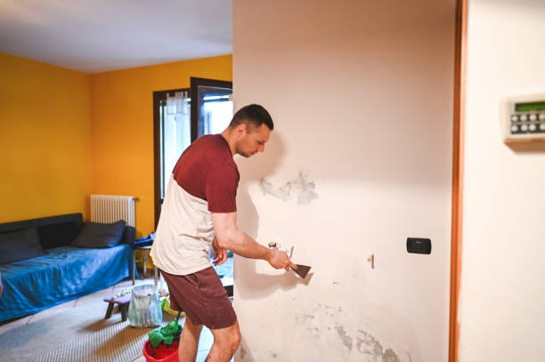 Best Toxic Mold Removal  in Morrisville, PA